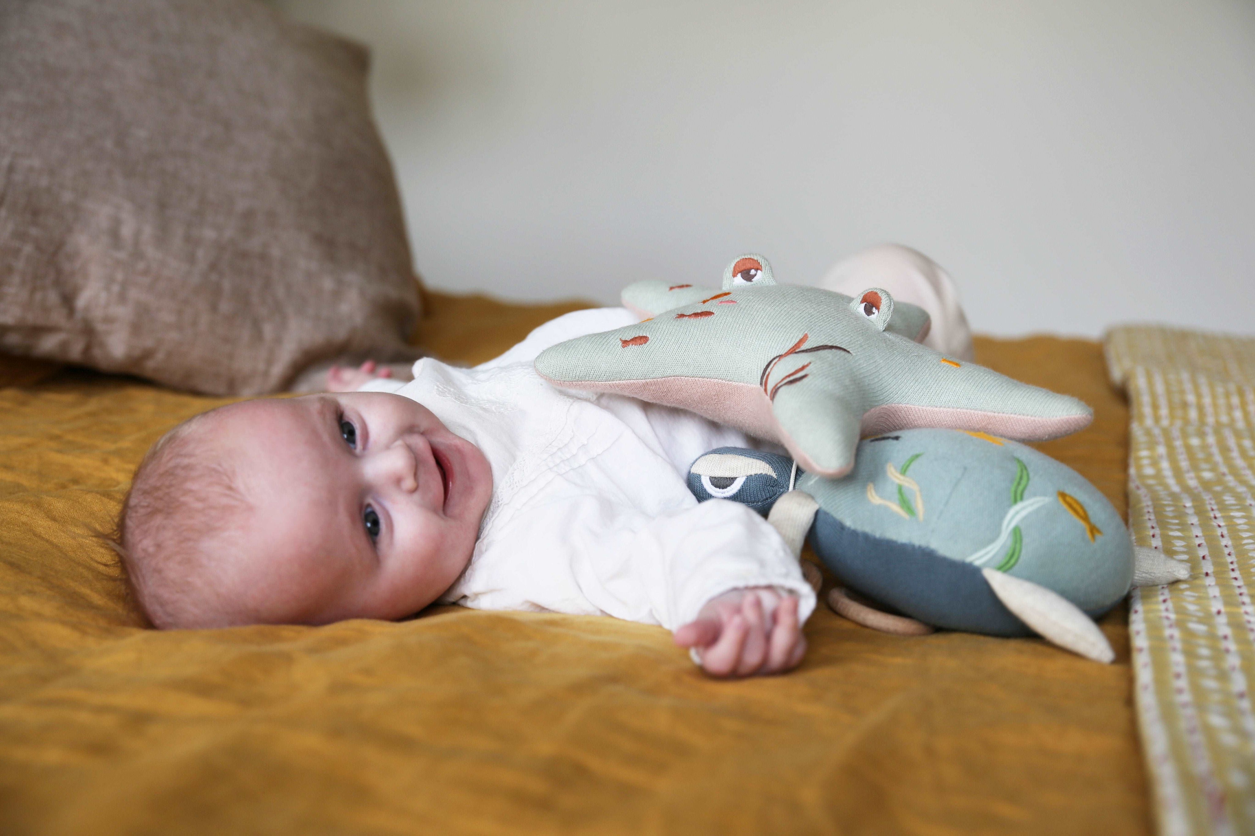 doudou musical pour bebe en forme de d'etoile de mer, 100% coton, creation française, marque française l'oiseau bateau, cadeau de naissance original