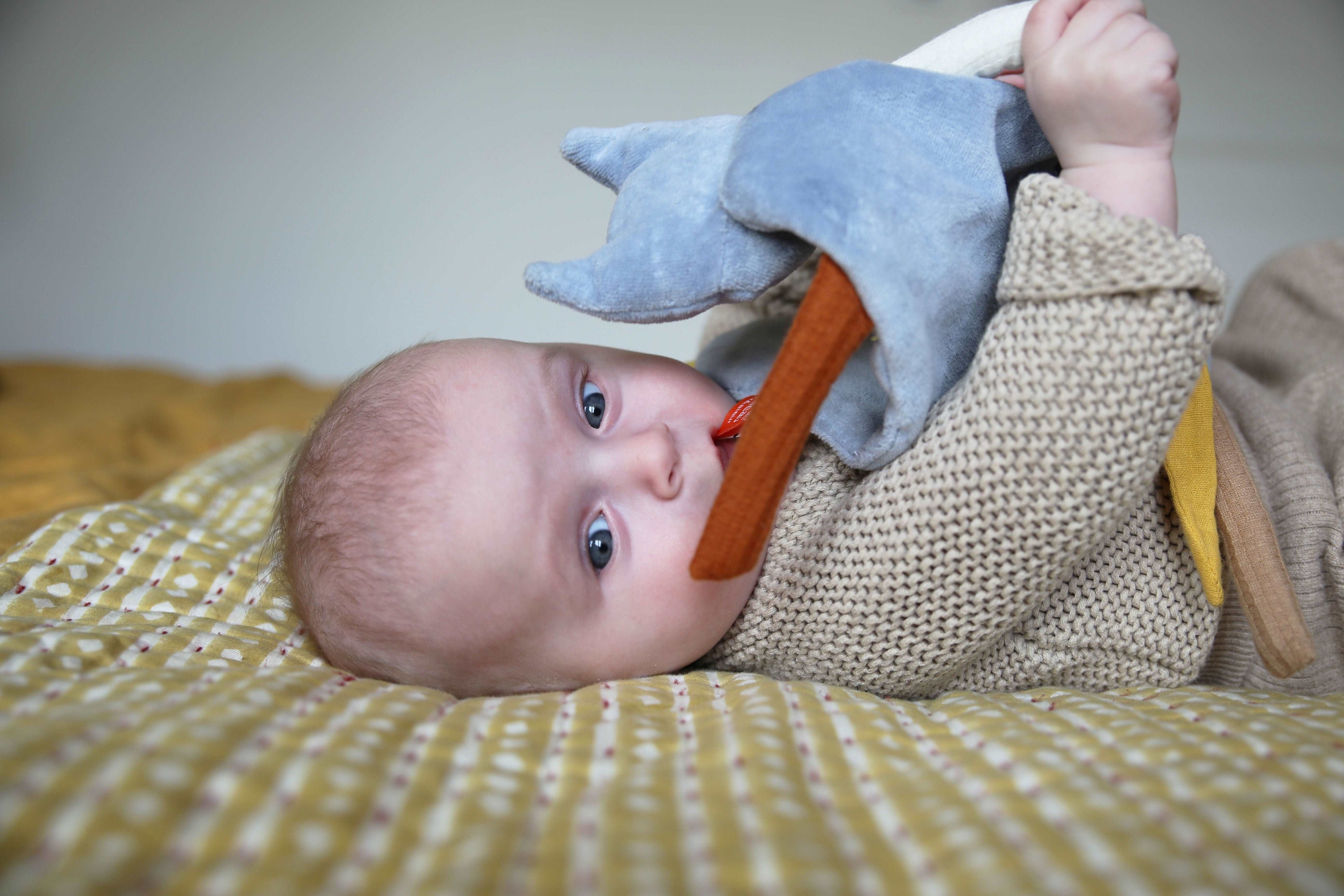 idée doudou bébé, doudou chat couleur bleu, doudou en velours, doudou bébé personnalisé, création française, marque française, l'oiseau bateau, coton 100% oeko-tex.